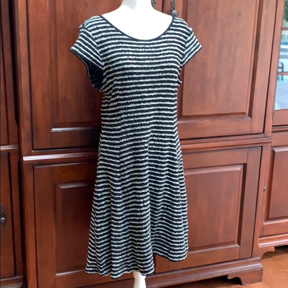Loft dress NWT